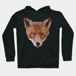 Felix the Fox Hoodie